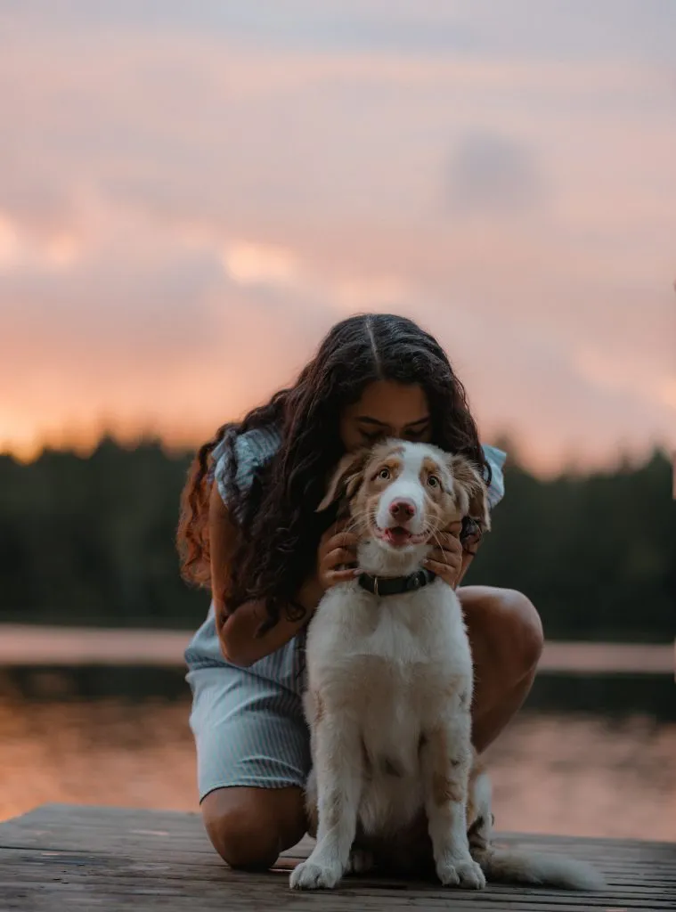 High Liver Enzymes in Dogs: Should They Take Supplements?
