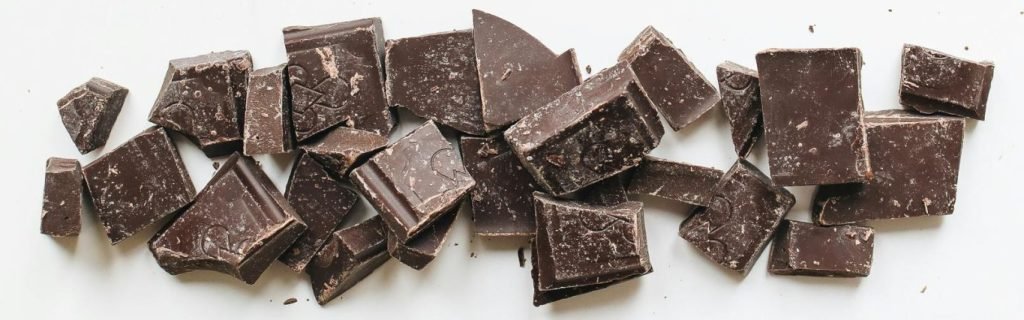 holiday foods toxic to dogs at Christmas