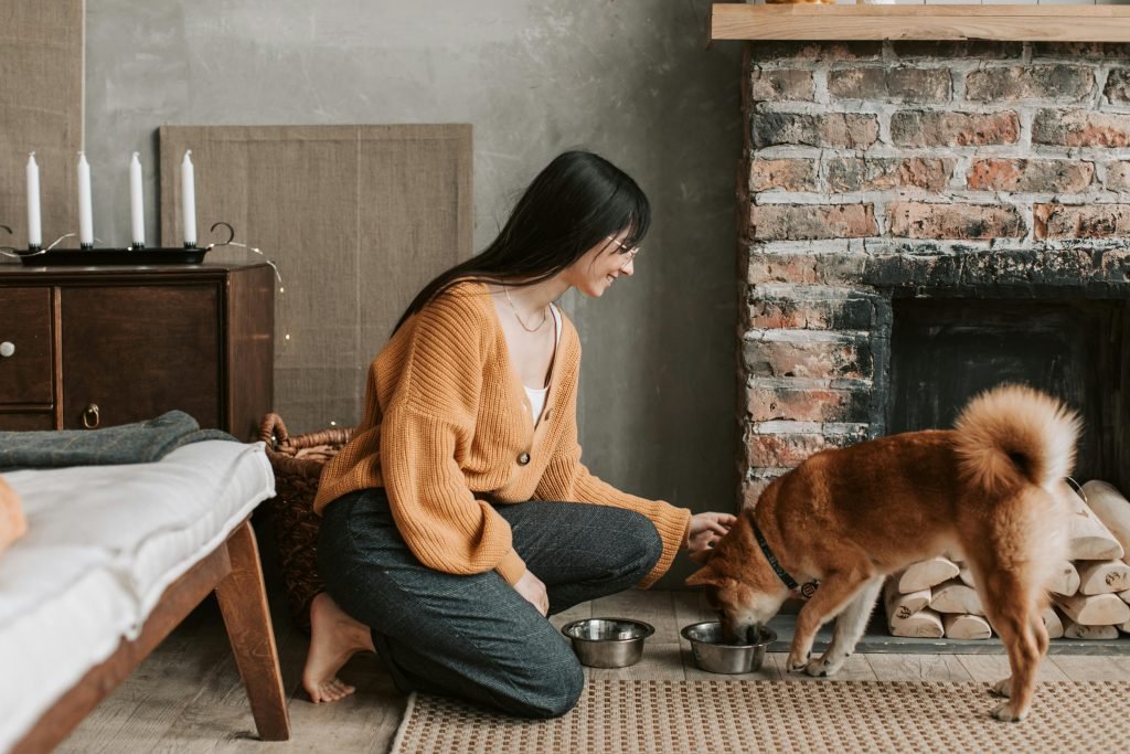 How to Read a Dog Food Label Like a Veterinarian at Home
