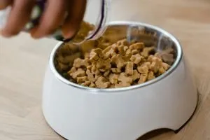 Hand adding treats to a dog food bowl