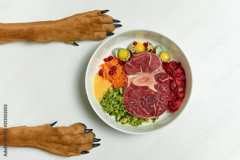Dog's food bowl with a balanced, veterinarian-reviewed diet