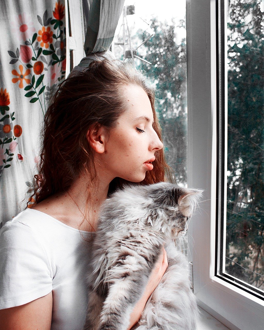 A cat at home with its owner -- appetite and behavior at home shape how lab values are read