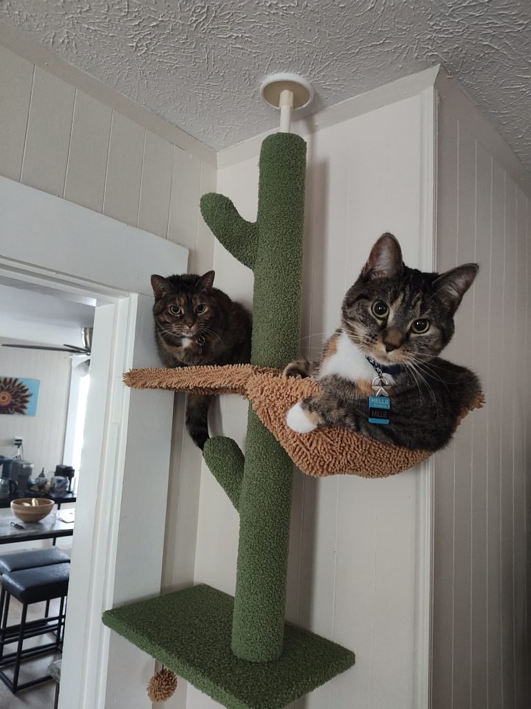 Hazel and Millie