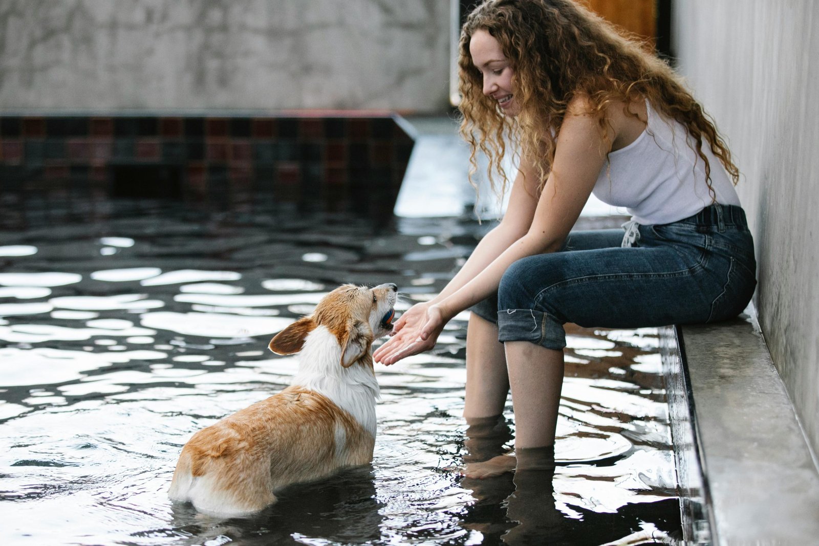 Dog resting, fatigue can be a sign of heartworm disease