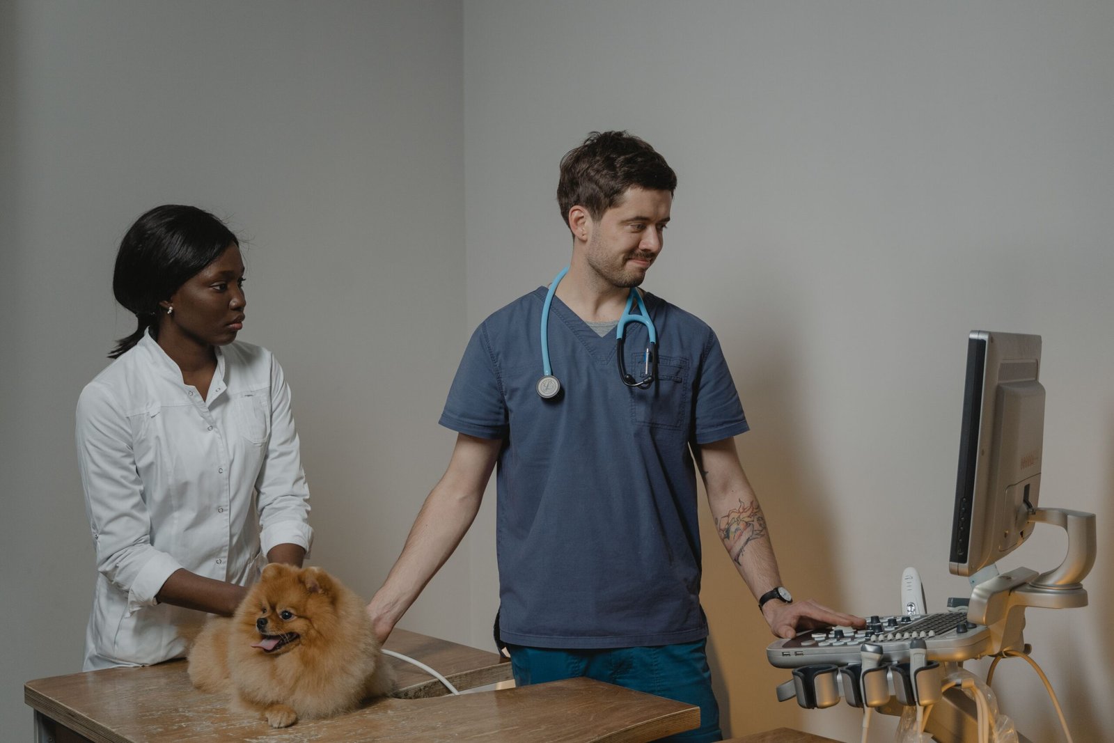 Veterinarians performing an ultrasound on a dog, one possible next step when FNA results are unclear
