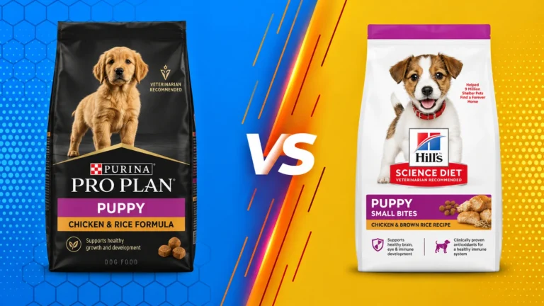 Puppy Food for Healthy Growth: Top 5 Picks