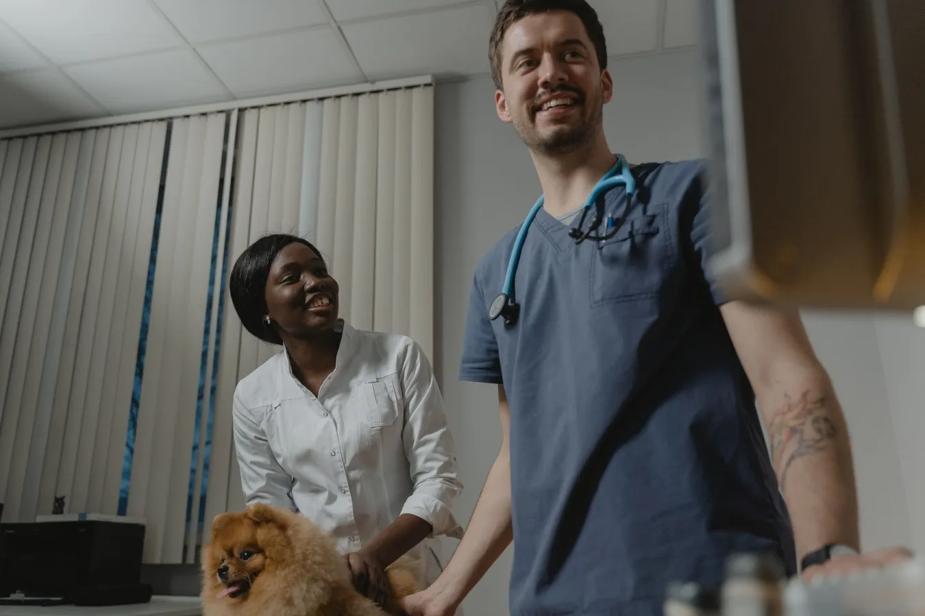 Veterinarian examining a dog for a new lump, a common reason a fine needle aspirate is recommended