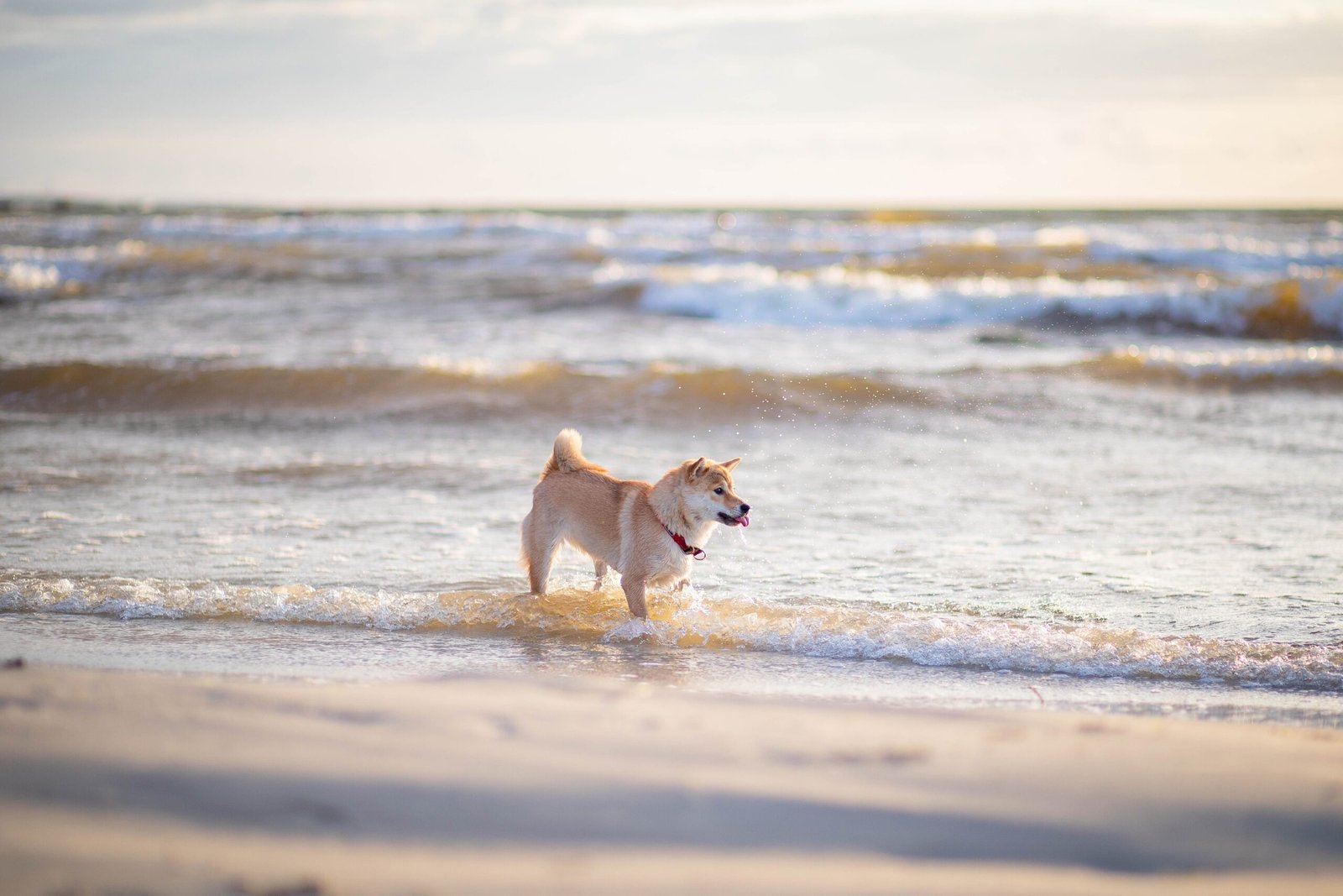 Depositphotos_107832482_XL