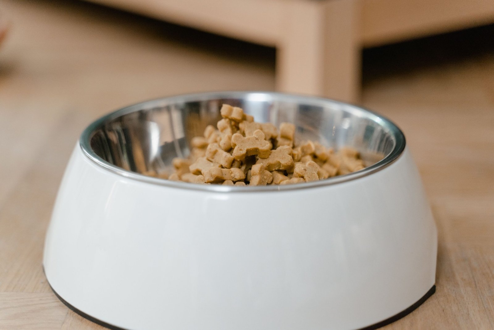 Wet and dry food for dogs and cats in silver bowl on pink background.