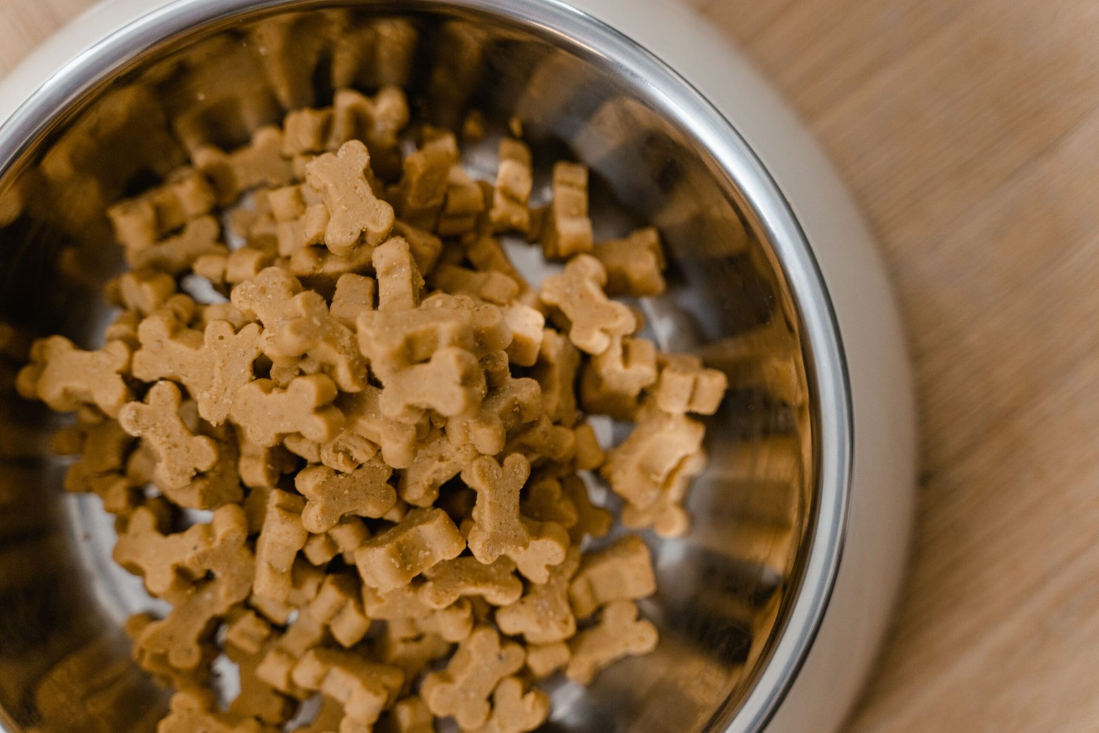 A bowl of dog food, since specific proteins are the ingredients most often implicated in food allergies