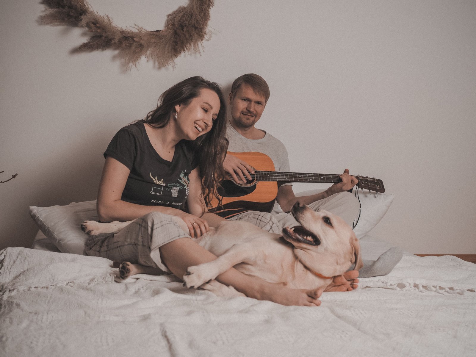A dog resting calmly at home with its owner, the kind of relaxed environment that helps shorten a reverse sneezing episode