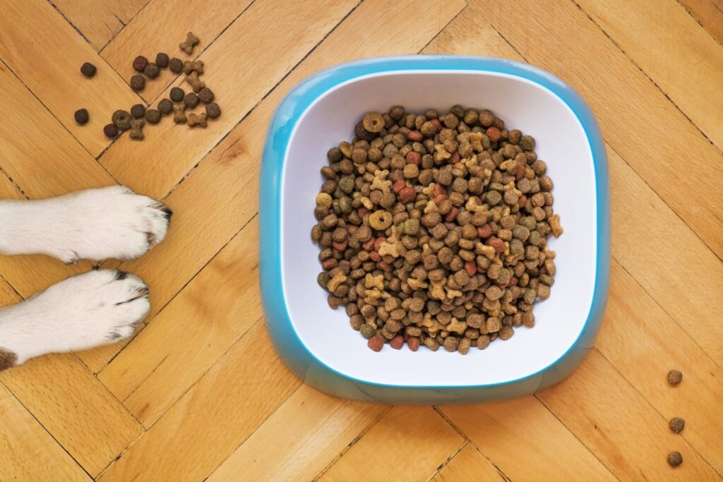 Bowl of dry dog food kibble, relevant to grain-free dog food