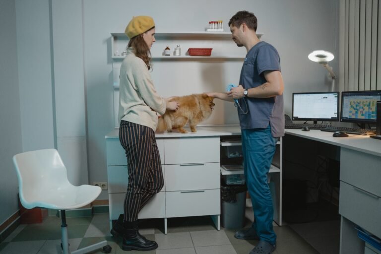 Dog owner discussing pet insurance coverage with a veterinarian