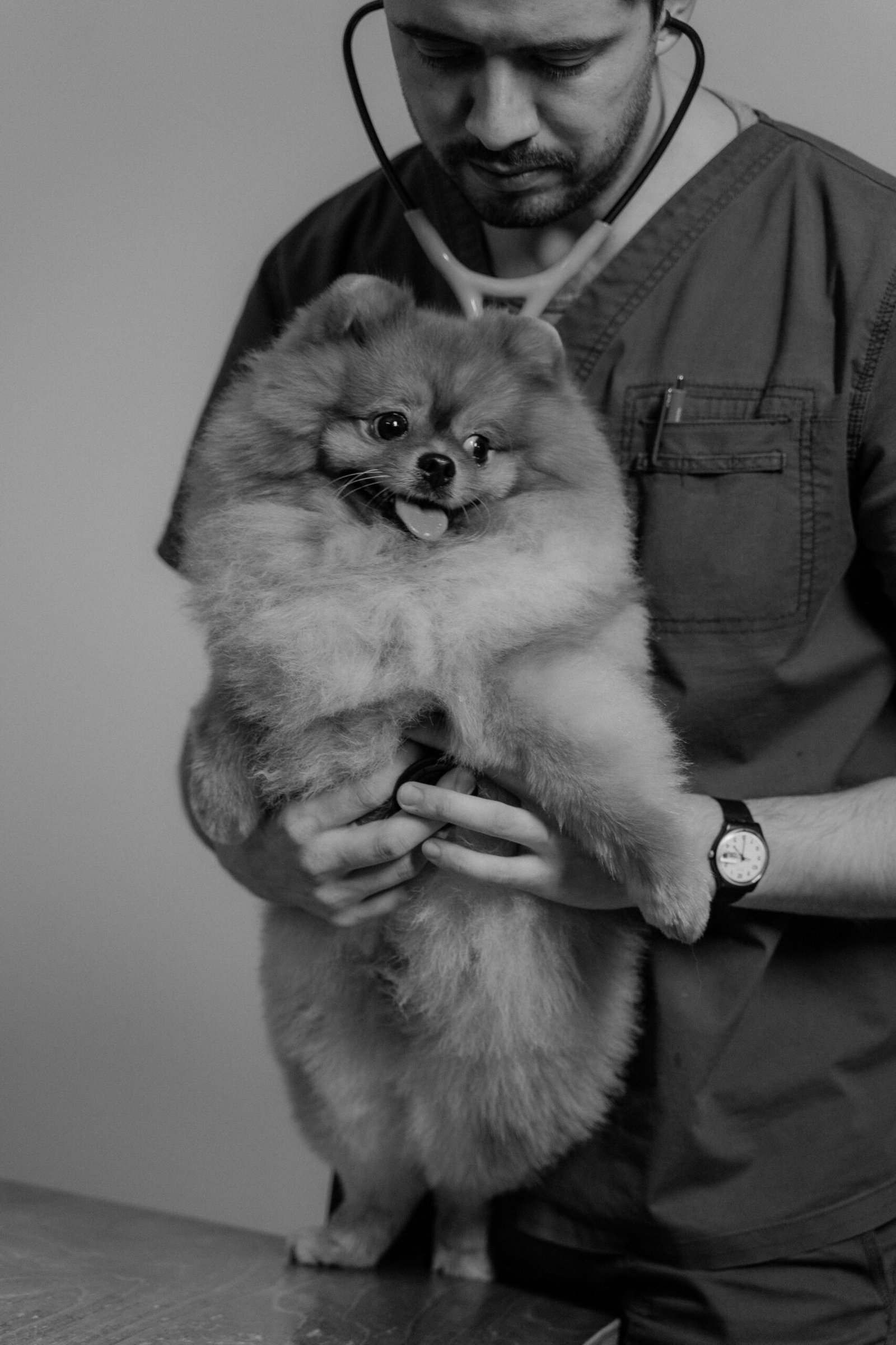 A veterinarian with a dog, a good time to discuss any supplement