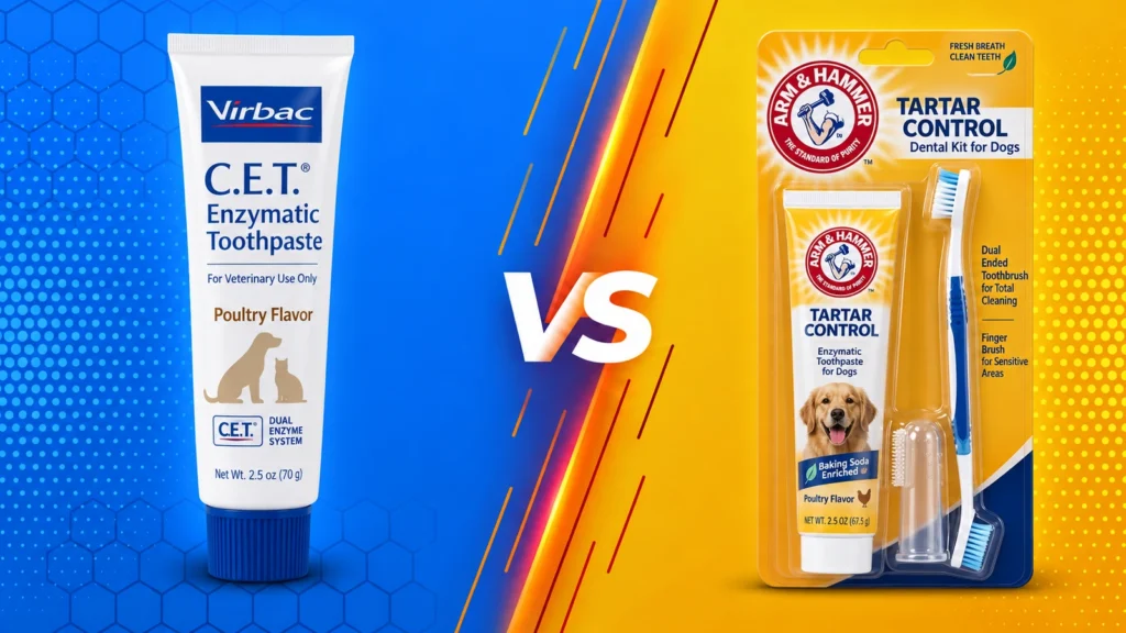 Best Dog Toothbrushes and Enzymatic Toothpastes for At-Home Dental Care
