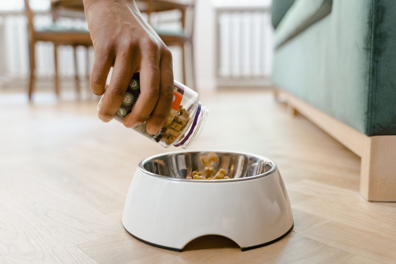 Measured portion of dog food being poured into a bowl, the kind of consistent routine a prescription renal diet depends on