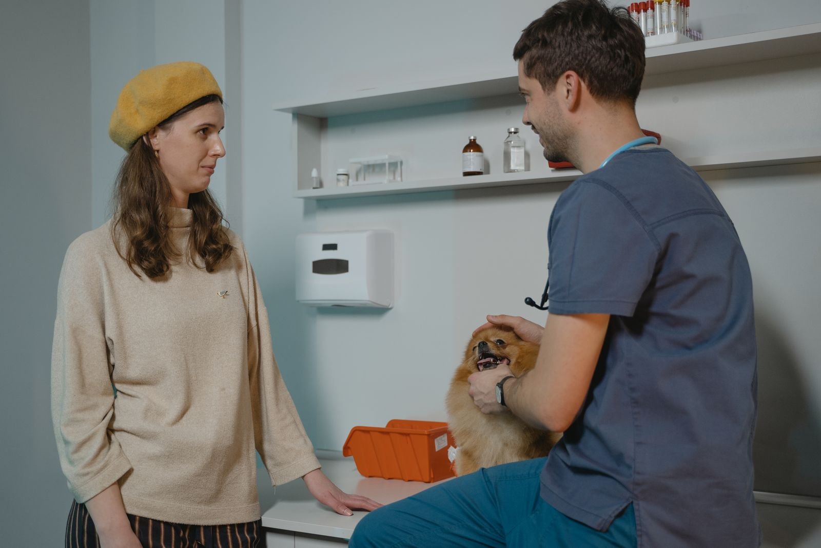 Veterinarian talking with a dog owner while a Pomeranian sits on the exam table, the kind of visit where a treatment estimate gets discussed