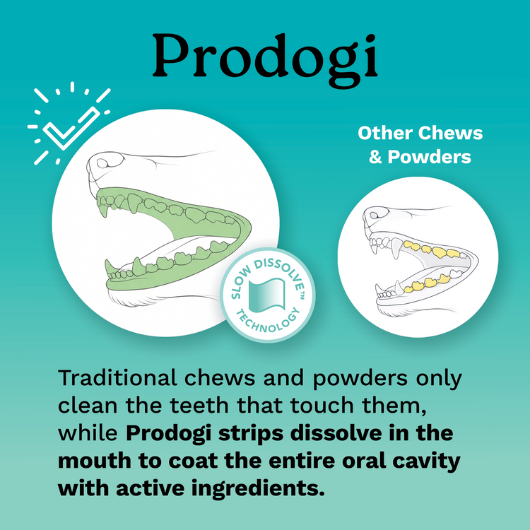 Manufacturer diagram of two open dog mouths: one with the whole gumline and teeth shaded green for Prodogi, the other with only a few teeth shaded yellow for chews and powders